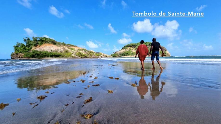 לה טריניטה F3 Hibiscus - Piscine Chauffee - Vue Mer - 9 Min De La Plage - Ti Zwezo Paradi מראה חיצוני תמונה