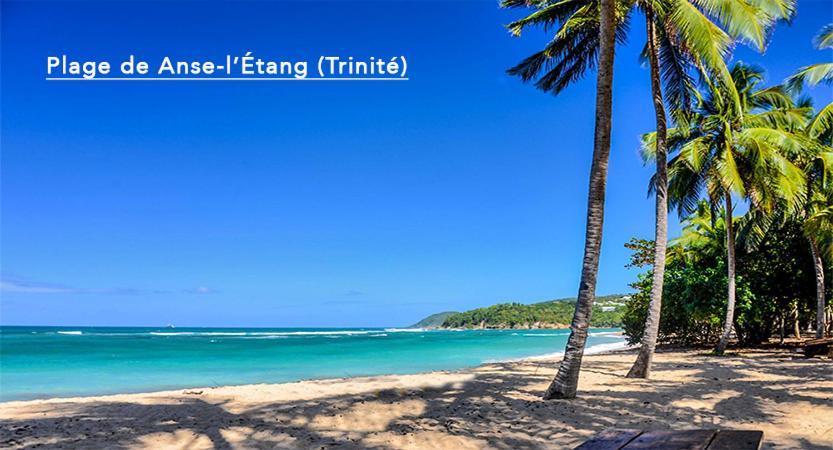 לה טריניטה F3 Hibiscus - Piscine Chauffee - Vue Mer - 9 Min De La Plage - Ti Zwezo Paradi מראה חיצוני תמונה