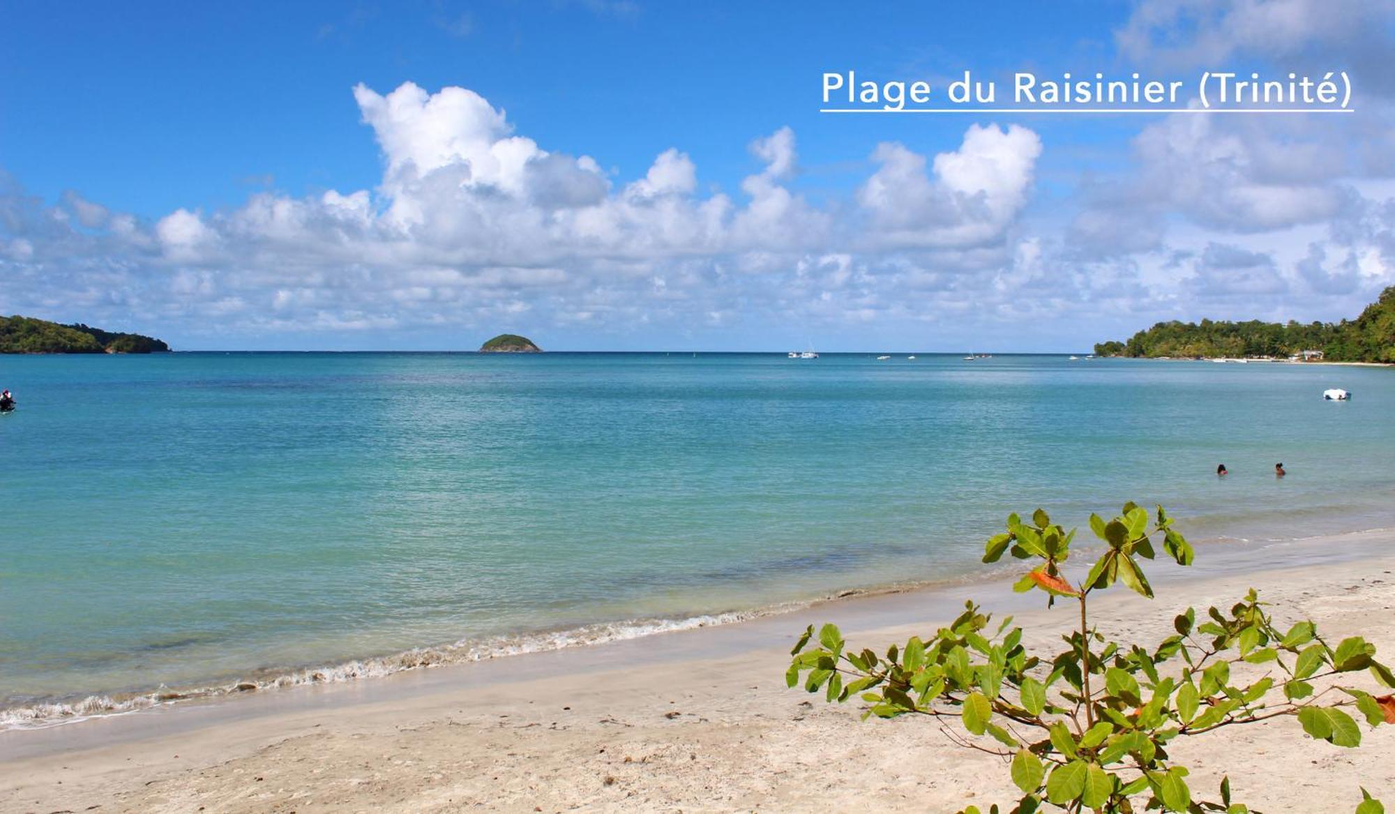 לה טריניטה F3 Hibiscus - Piscine Chauffee - Vue Mer - 9 Min De La Plage - Ti Zwezo Paradi מראה חיצוני תמונה